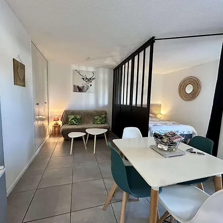 4 Couchages Cyprien Sc245-004 * Saint-Cyprien (Pyrenees-Orientales)
